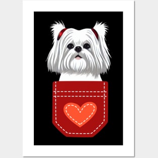 I Love My Crusty White Dog Girl Maltese Shih Tzu Birthday Posters and Art